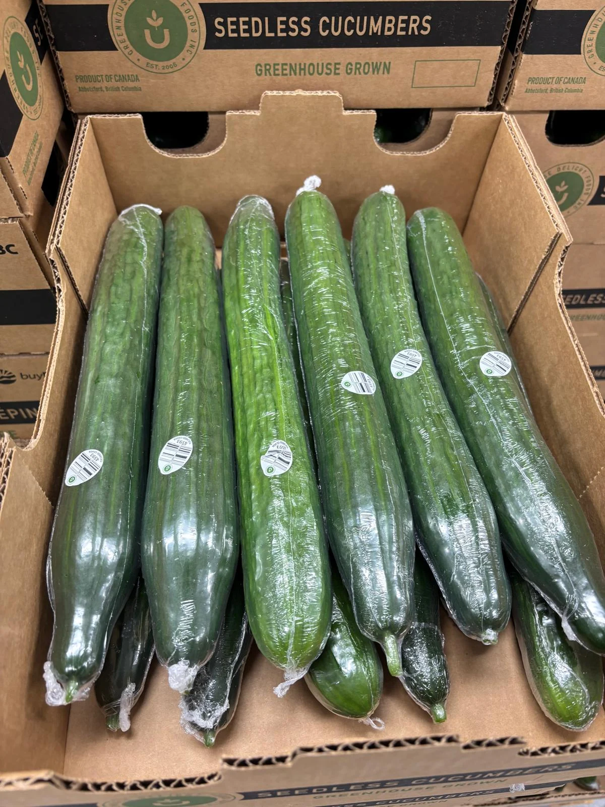 Fresh cucumbers packed in a box