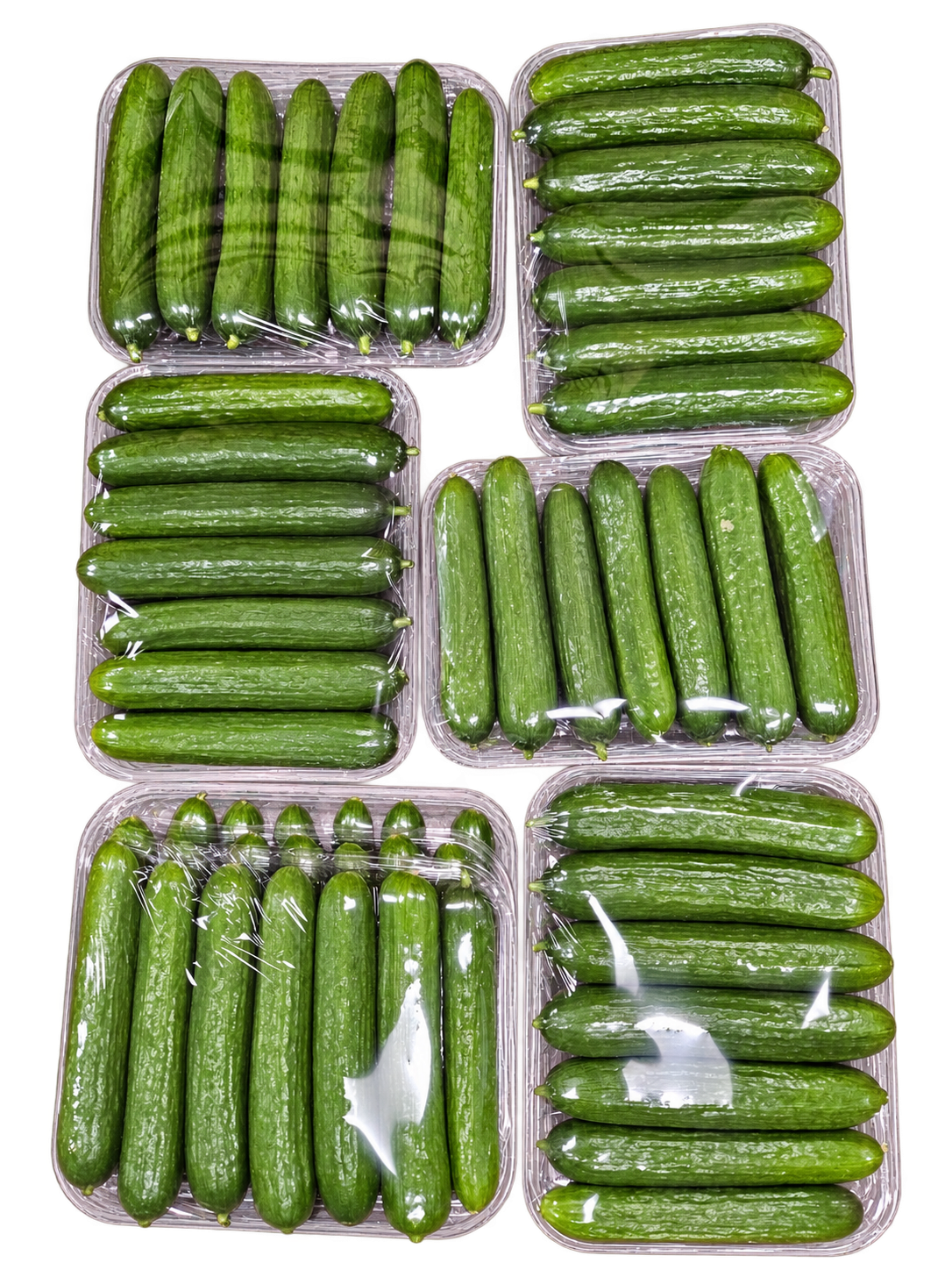 Six clear wrapped trays of mini cucumbers