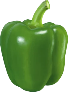 Green Pepper