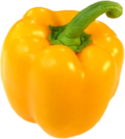 Yellow Pepper