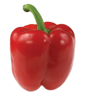 Red Pepper