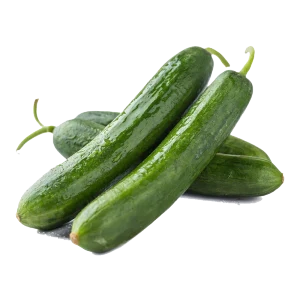 LE Cucumber